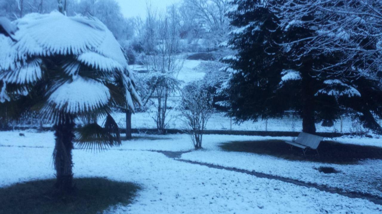 Le Curieux De Conques Saint-Cyprien-sur-Dourdou Exterior foto