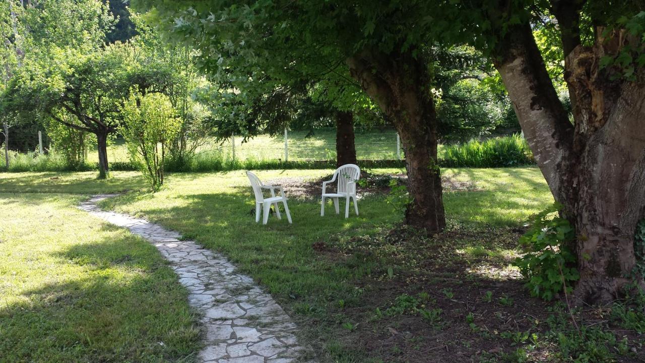 Le Curieux De Conques Saint-Cyprien-sur-Dourdou Exterior foto