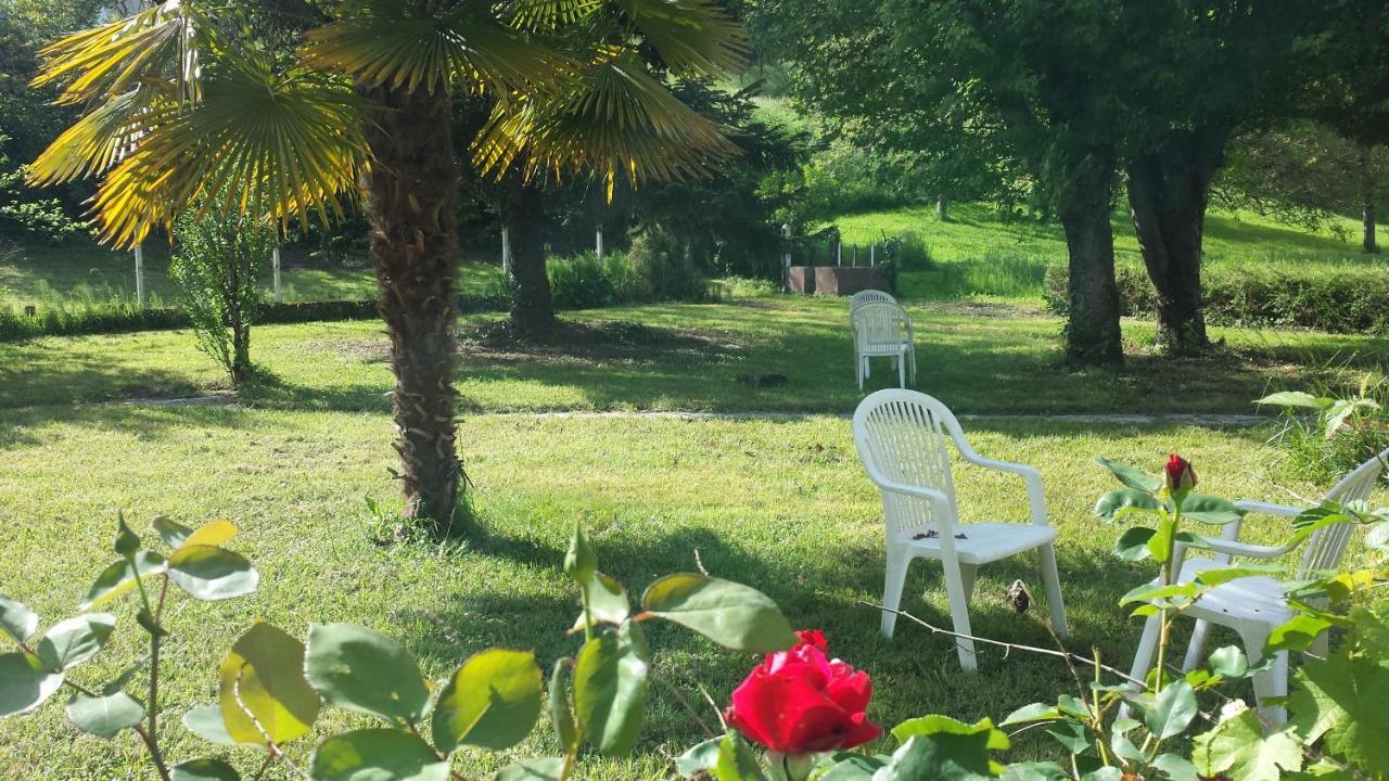 Le Curieux De Conques Saint-Cyprien-sur-Dourdou Exterior foto